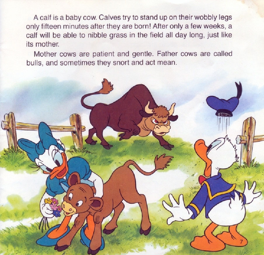 Baby Animals (09),绘本,绘本故事,绘本阅读,故事书,童书,图画书,课外阅读